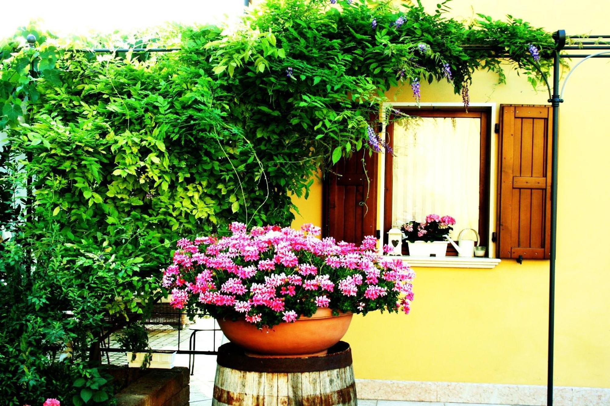 Agriturismo Ca Nuova Minerbio Exterior photo